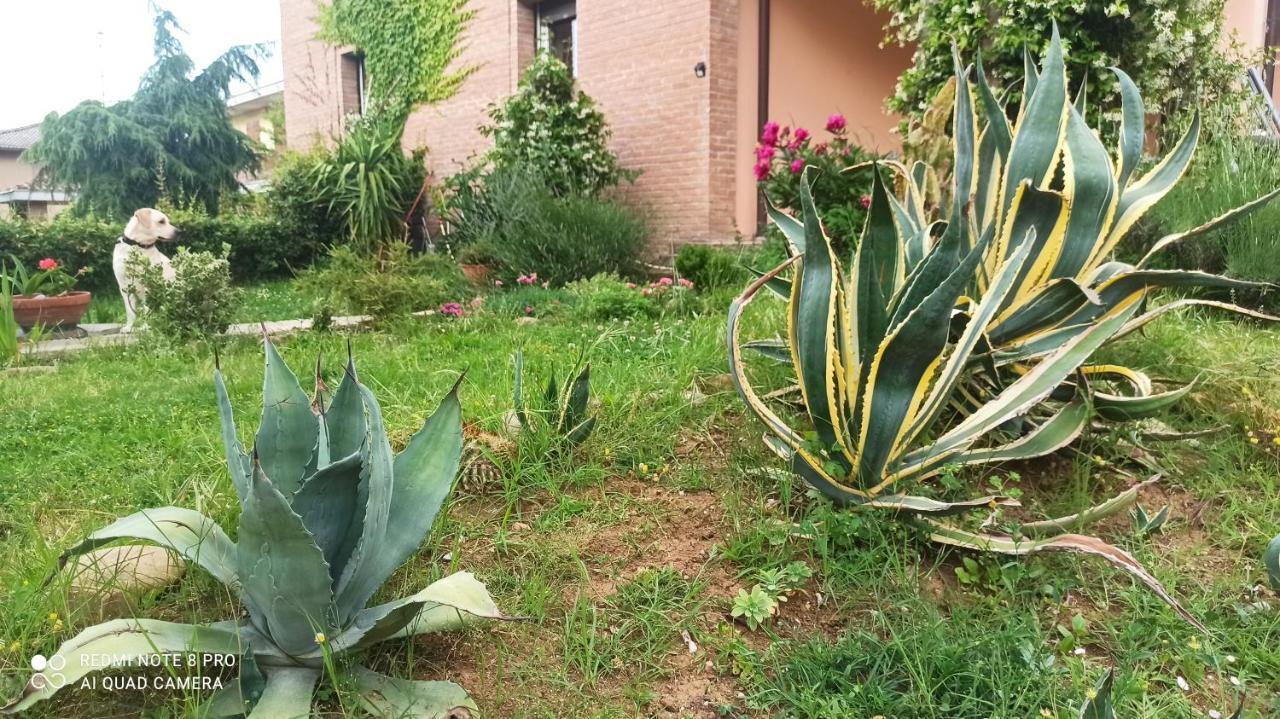 Casa Vincenzo 130 Mq Con Portico Ed Ingresso Esclusivo Dal Giardino Villa Felino Exterior foto