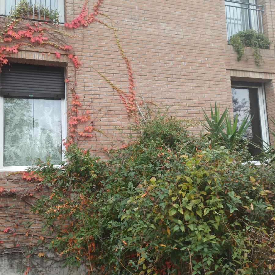 Casa Vincenzo 130 Mq Con Portico Ed Ingresso Esclusivo Dal Giardino Villa Felino Exterior foto