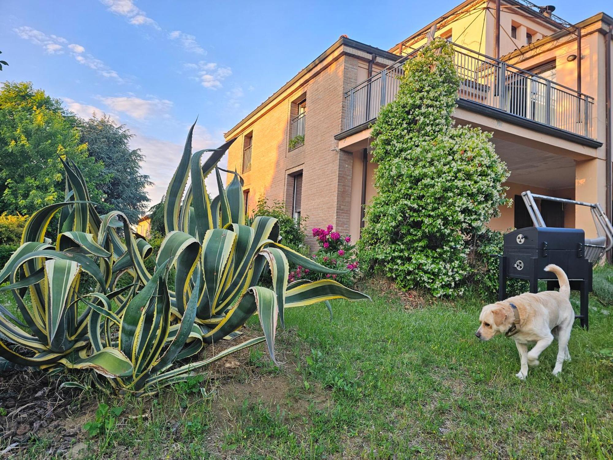 Casa Vincenzo 130 Mq Con Portico Ed Ingresso Esclusivo Dal Giardino Villa Felino Exterior foto
