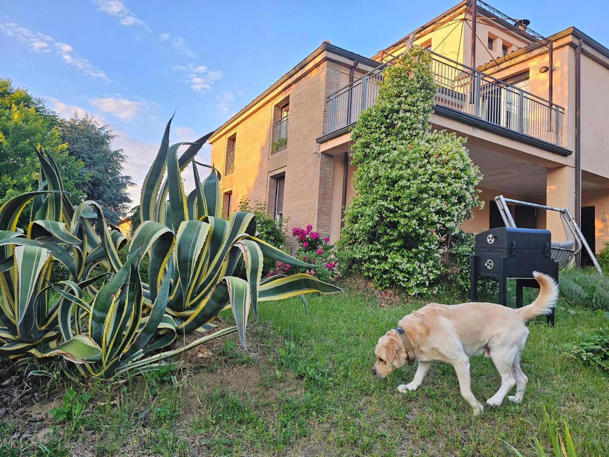 Casa Vincenzo 130 Mq Con Portico Ed Ingresso Esclusivo Dal Giardino Villa Felino Exterior foto